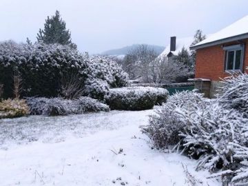 Le bonheur pour tous - En hiver