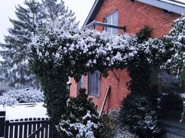 Le bonheur pour tous - En hiver